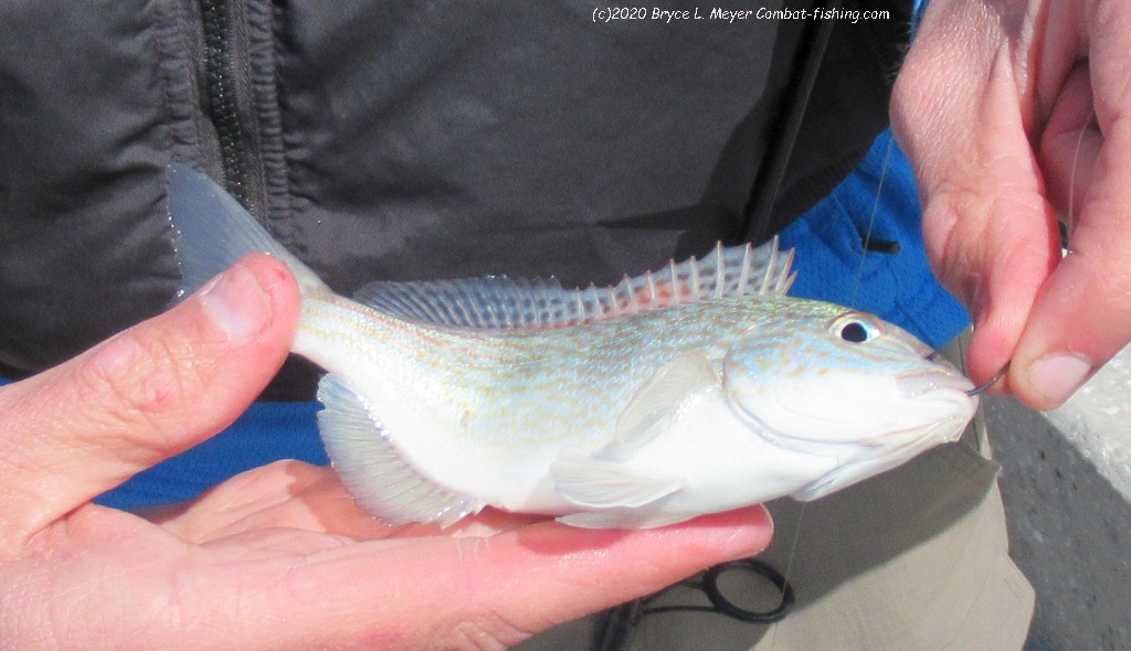 Fish in OC Bucktail Jig - 2 Oz - Red - Fishing Reports & News Ocean City MD  Tournaments